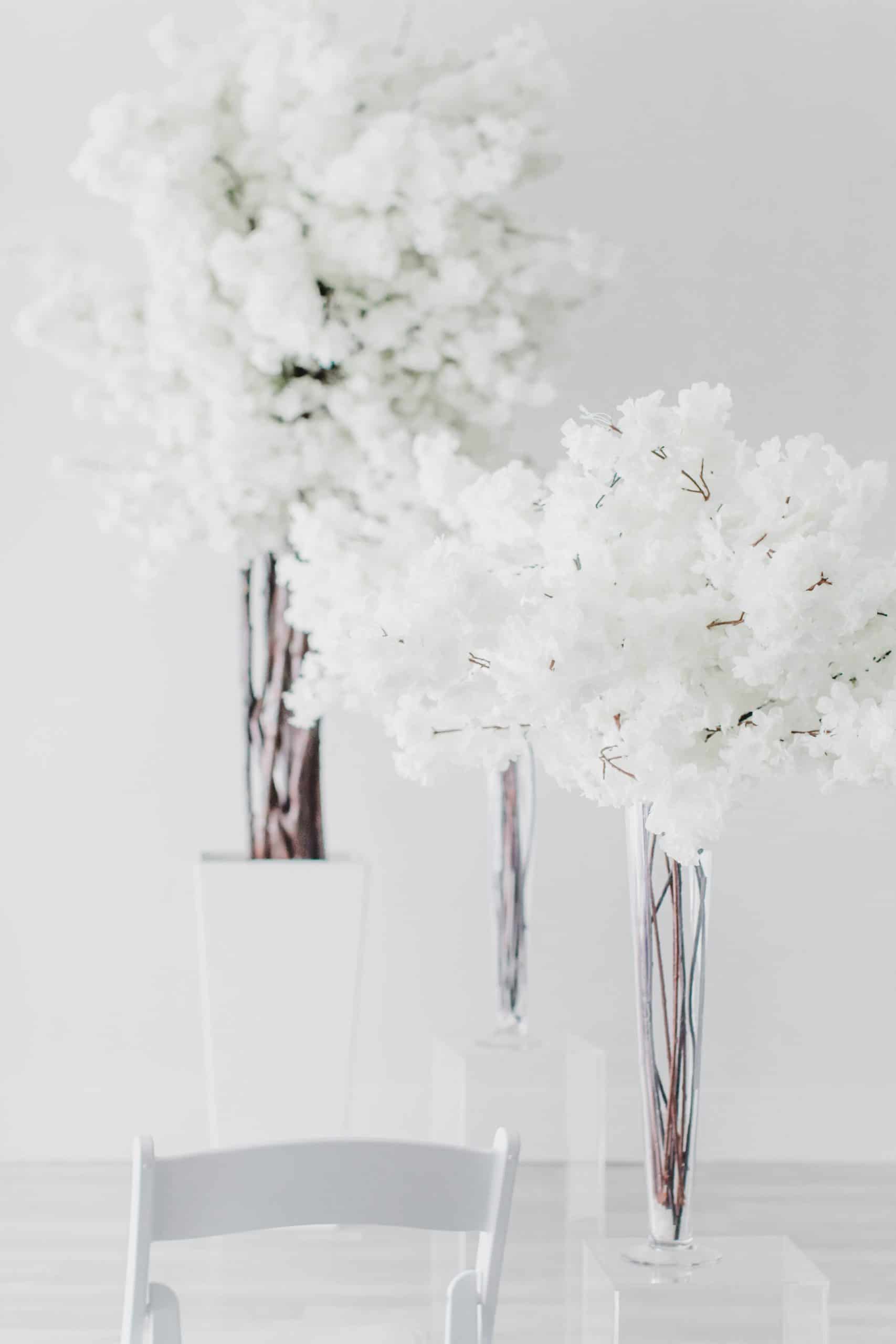 White Blossom Rental